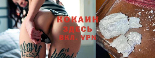 крисы Алексин