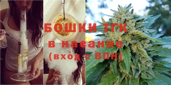 крисы Алексин