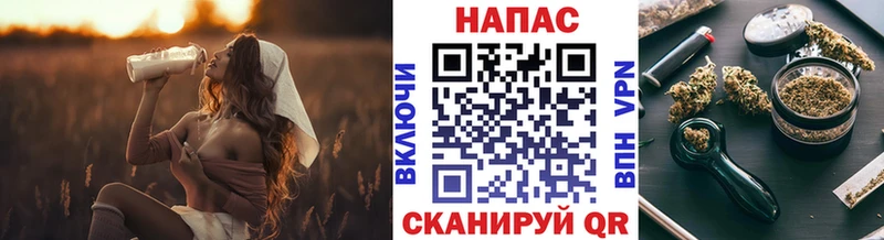где продают   MEGA tor  Бошки марихуана Amnesia  Чапаевск 